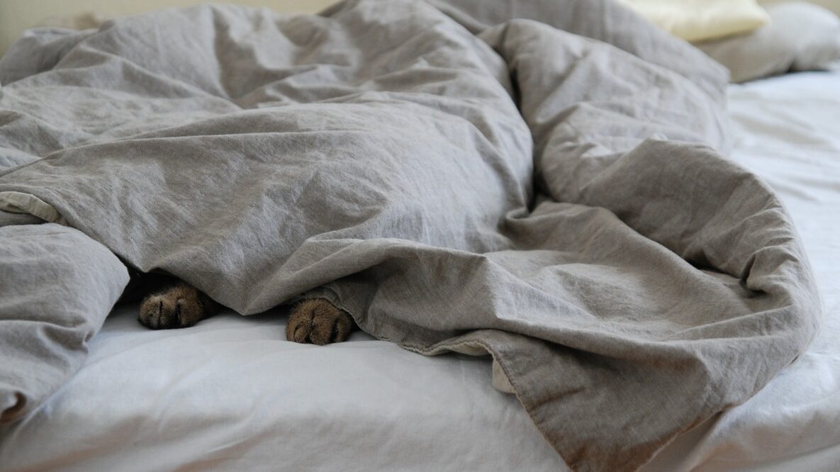Homewear